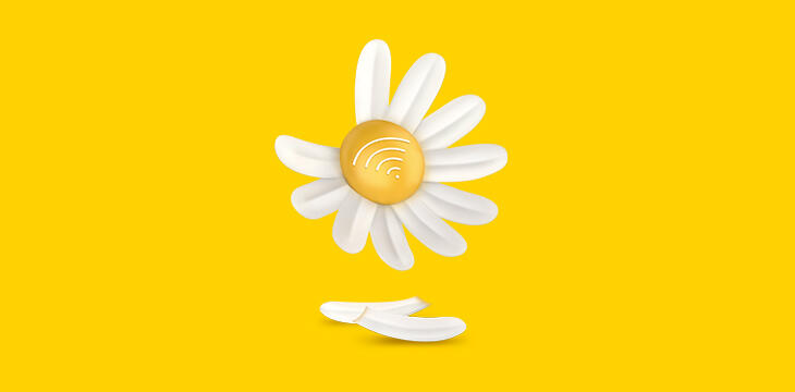 Fleur blanche fond jaune