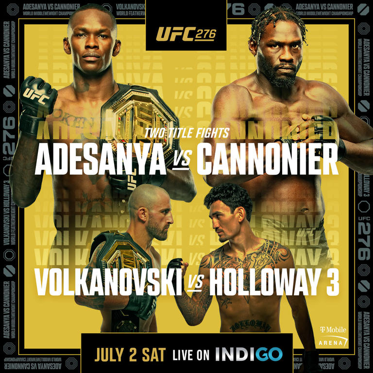 UFC Adesanya vs Cannonier