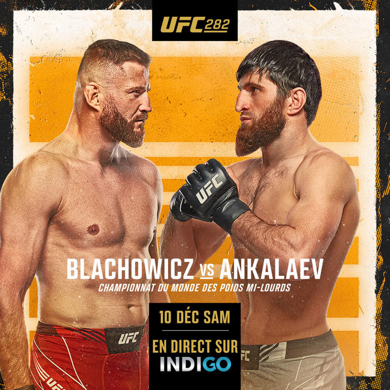 Indigo UFC Blachowicz Ankalaev 1072x1072