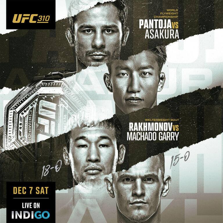 UFC 310 - Pantoja vs Asakura