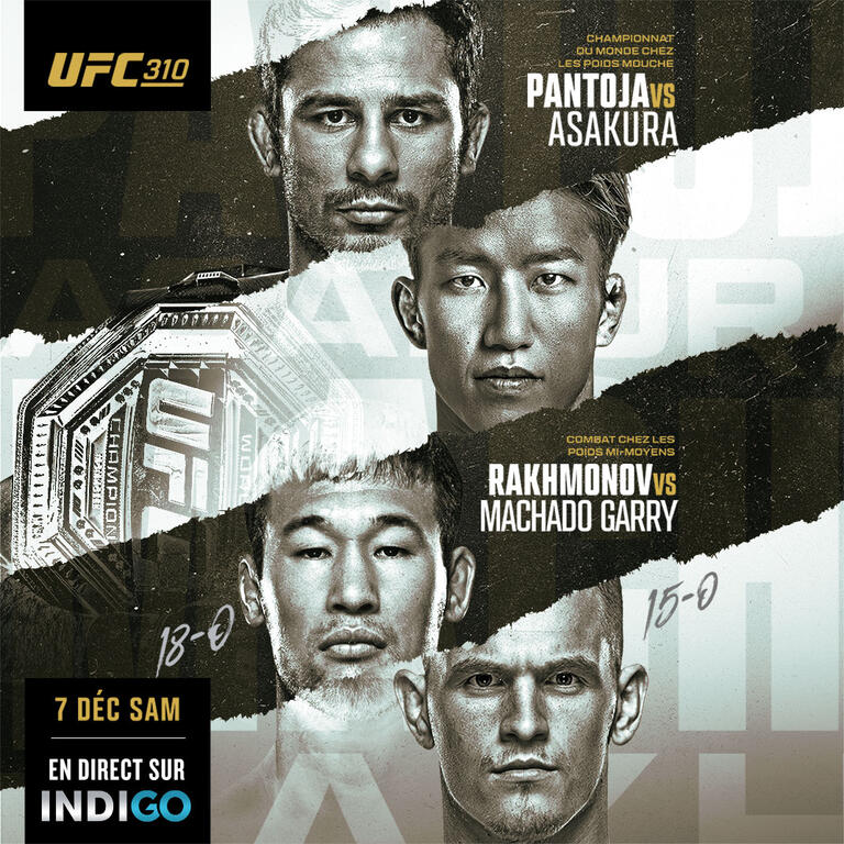 UFC 310 - Pantoja vs Asakura