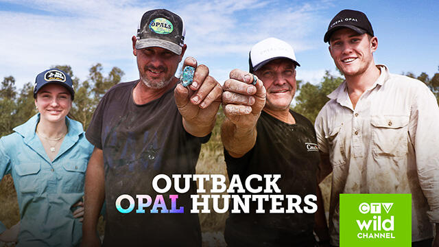 CTV Wild Outback Opal Hunters