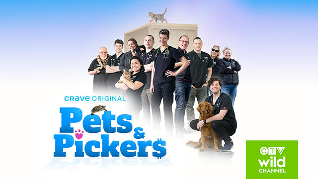 CTV Wild Pets Pickers