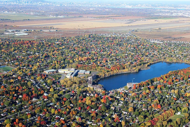 ville forêt arbre lac eau automne